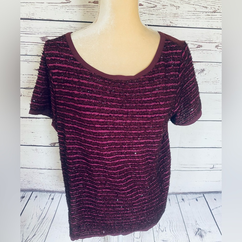 Women’s Large Blouse Ann Taylor Loft Short Sleeves Sequins Fringe Dark Fuchsia